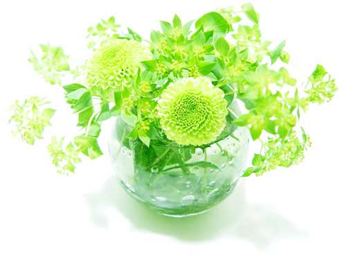 花画像 花画像