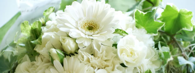 花 花